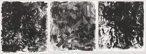 Untitled, by Ellsworth Kelly