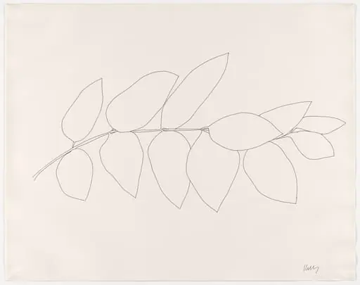 Untitled, by Ellsworth Kelly