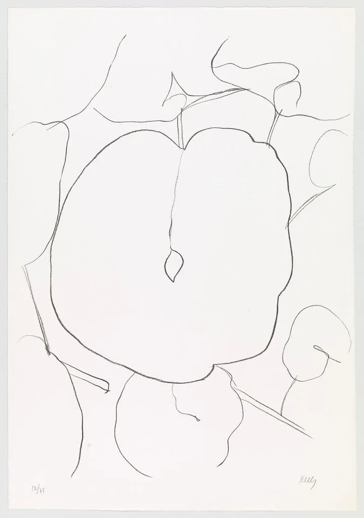 Untitled, by Ellsworth Kelly, ink, 1966