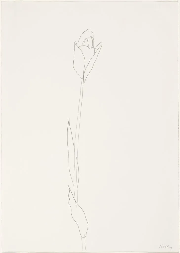 Untitled, by Ellsworth Kelly, graphite, 1980
