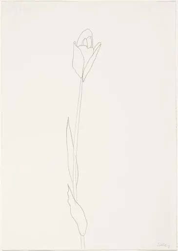 Untitled, by Ellsworth Kelly