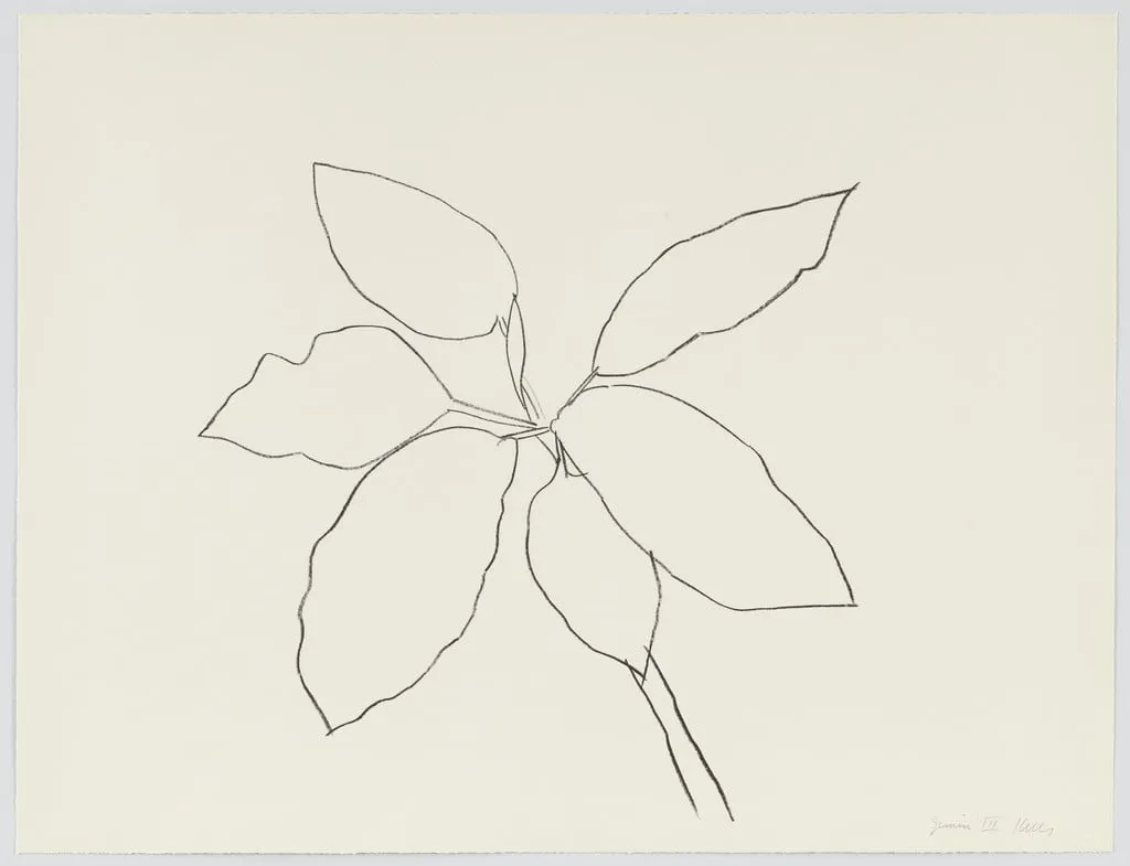 Untitled, by Ellsworth Kelly, ink, 1982