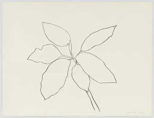 Untitled, by Ellsworth Kelly