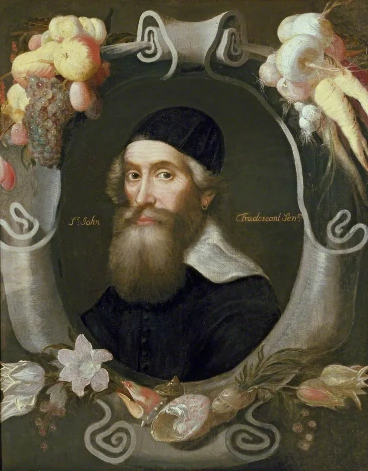 John Tradescant the Elder, by Emanuel de Critz, oil, 1646
