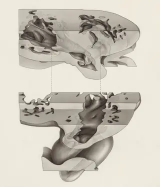 Embryonic heart, 1970