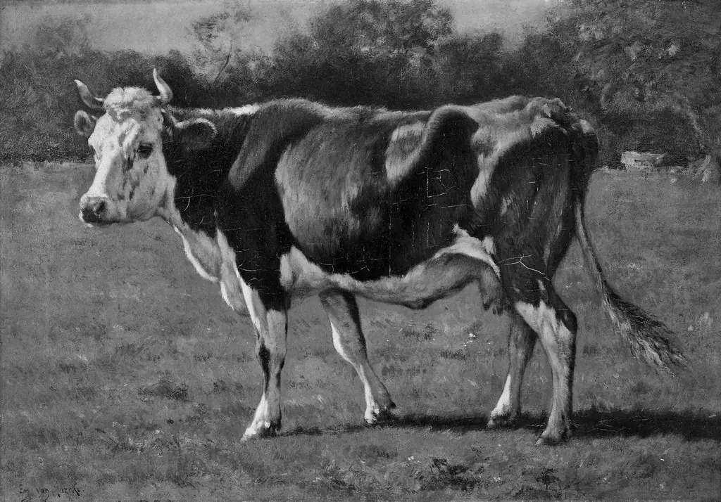 Study of a Cow, by Emile van Marcke