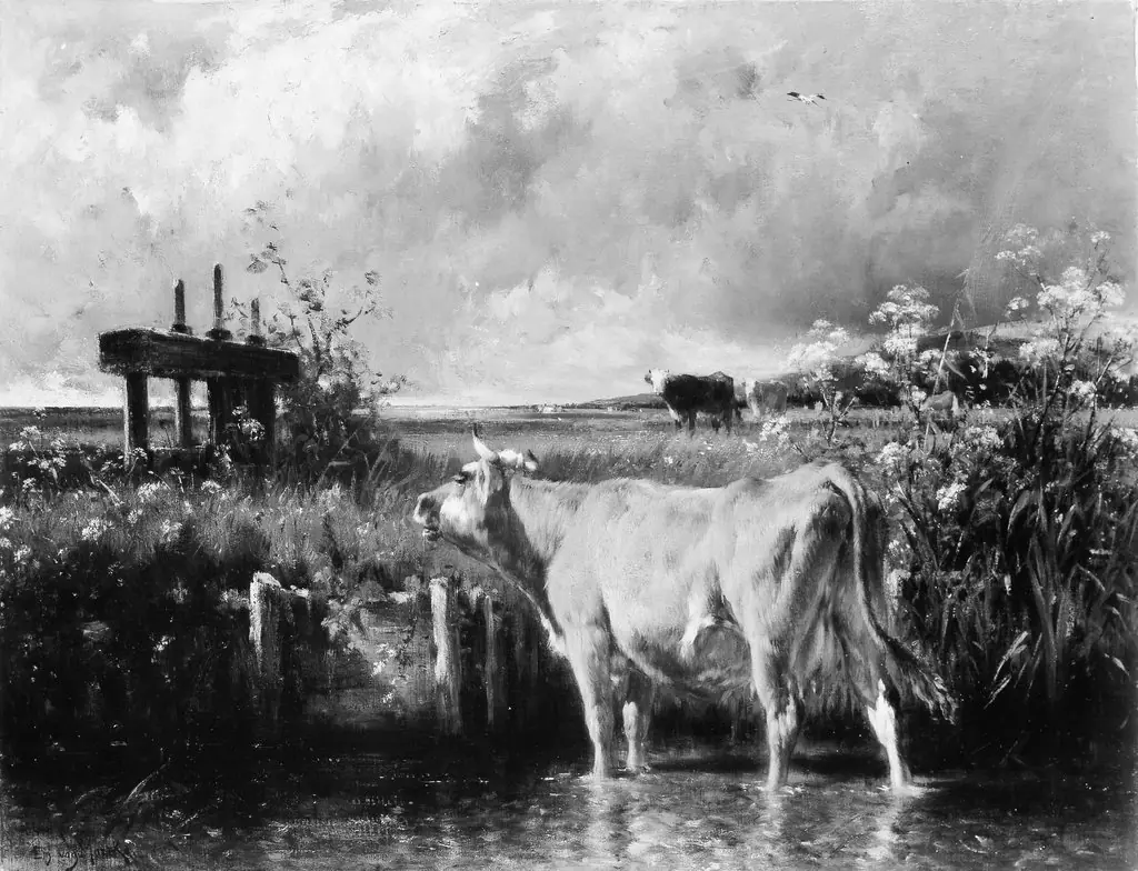 The Flood Gate