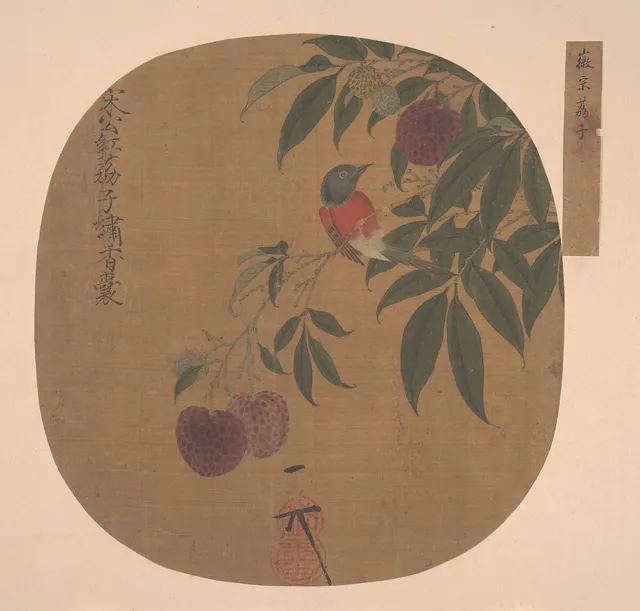 明 佚名(舊傳宋徽宗) 荔枝圖 冊頁|Bird on a Lychee Branch