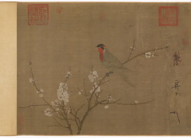 Five-colored parakeet on a blossoming apricot tree