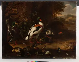 Enten am Waldrand