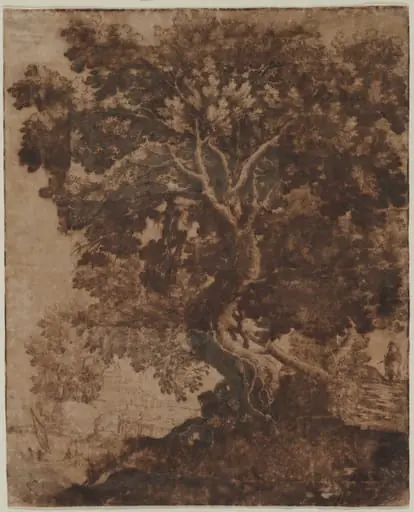 Tree in a Landscape, by Ercole Bazicaluva