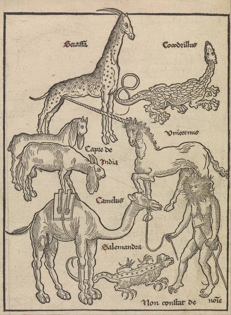 Animals of the Holy Land, by Erhard Reuwich