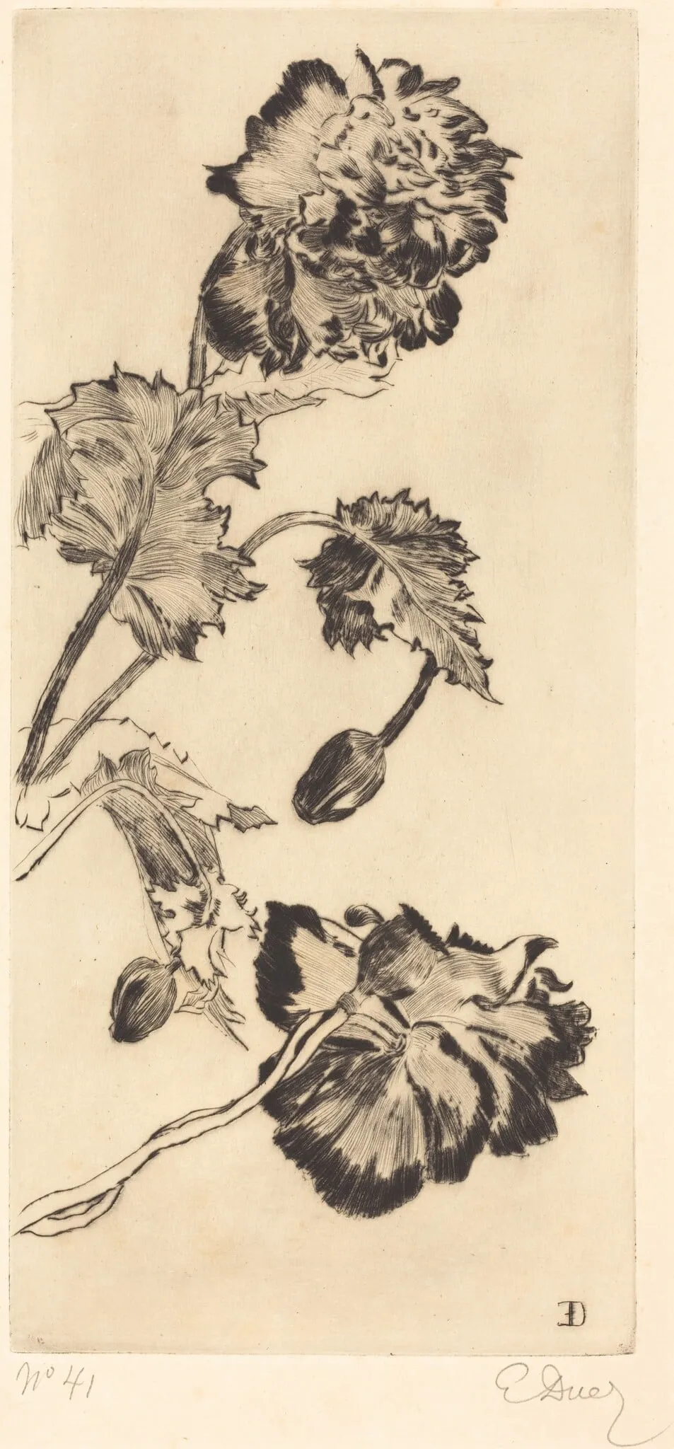 Flowers (Fleurs), by Ernest-Ange Duez, ink, 1894