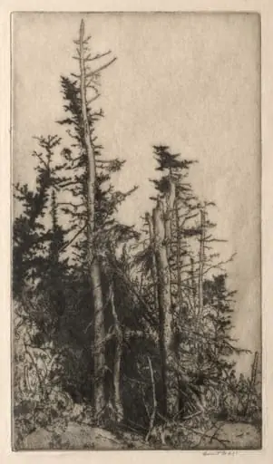 Dead Tree, by Ernest Haskell