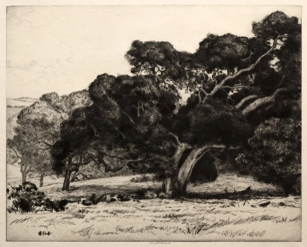Large Live Oak, by Ernest Haskell, 1910
