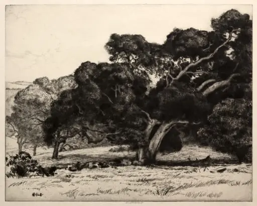 Large Live Oak, by Ernest Haskell