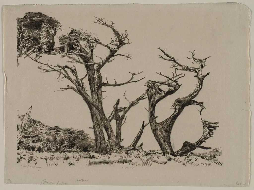 Monterey Cypress, by Ernest Haskell, 1910