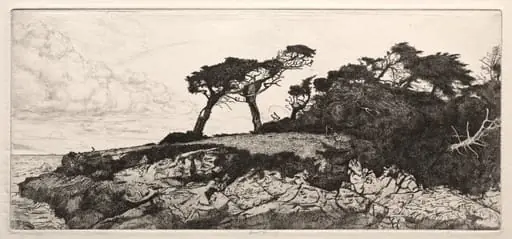 The Ostrich, by Ernest Haskell
