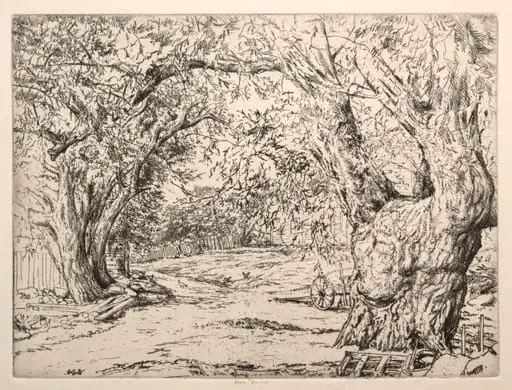 Winnegance Willows, by Ernest Haskell