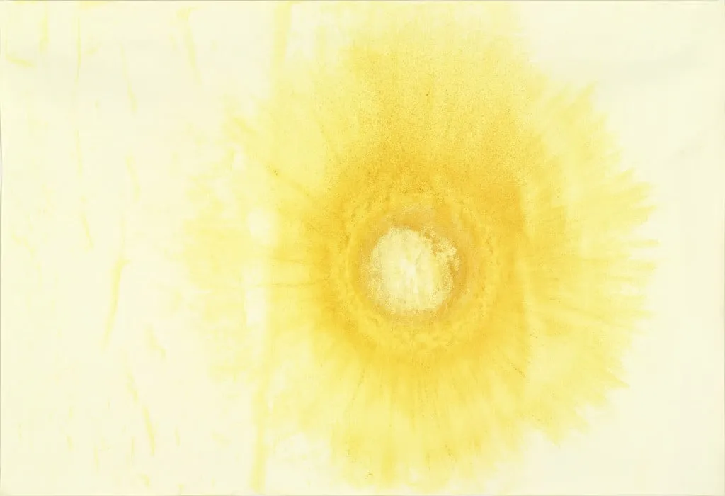 Untitled, by Ernesto Neto, 2002