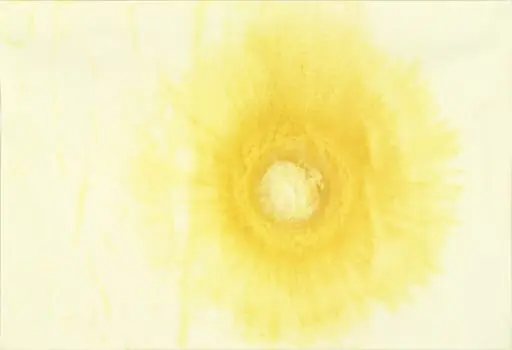 Untitled, by Ernesto Neto