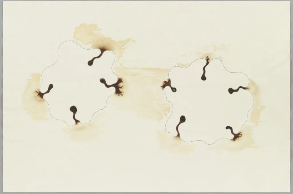 Untitled, by Ernesto Neto, ink, 2003