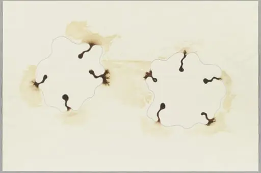 Untitled, by Ernesto Neto