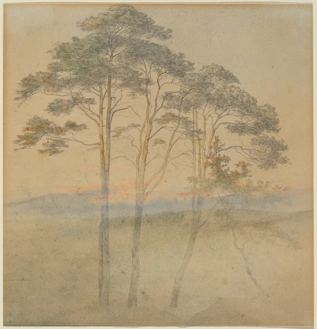 Pines in a Morning Fog, by Ernst Ferdinand Oehme, graphite, 1834