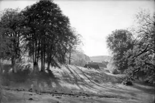 Et skovbryn