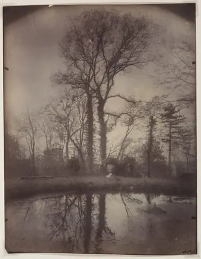 The Park at Sceaux [April 1925, 7a.m.], by Eugène Atget
