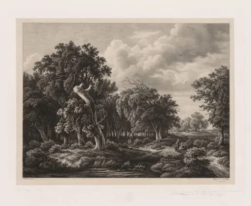 Groups of Various Plants Drawn After Nature: No. 7, by Eugène Blery