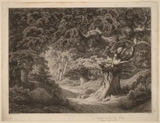Le Charlemagne (forêt de fontainebleau), by Eugène Bléry