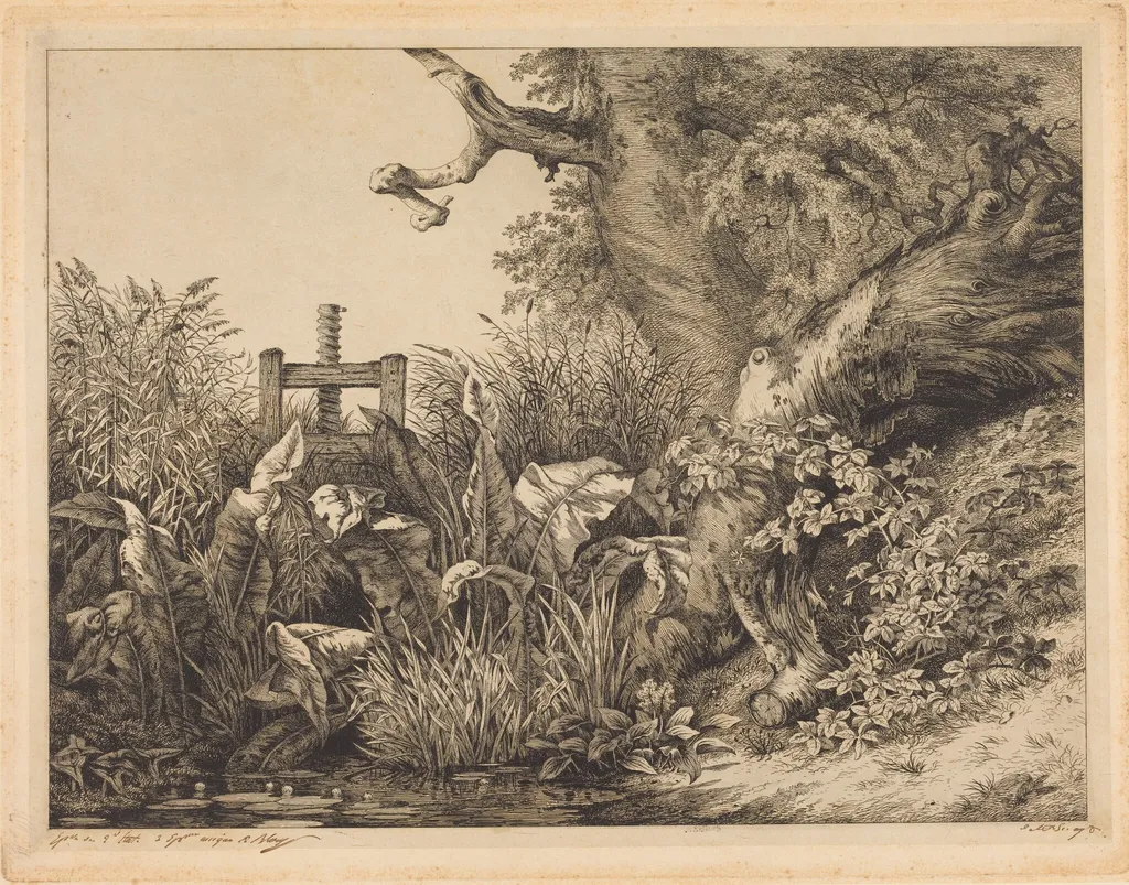 Water Dock and Brambles at a Sluice, by Eugène Bléry, ink, 1843