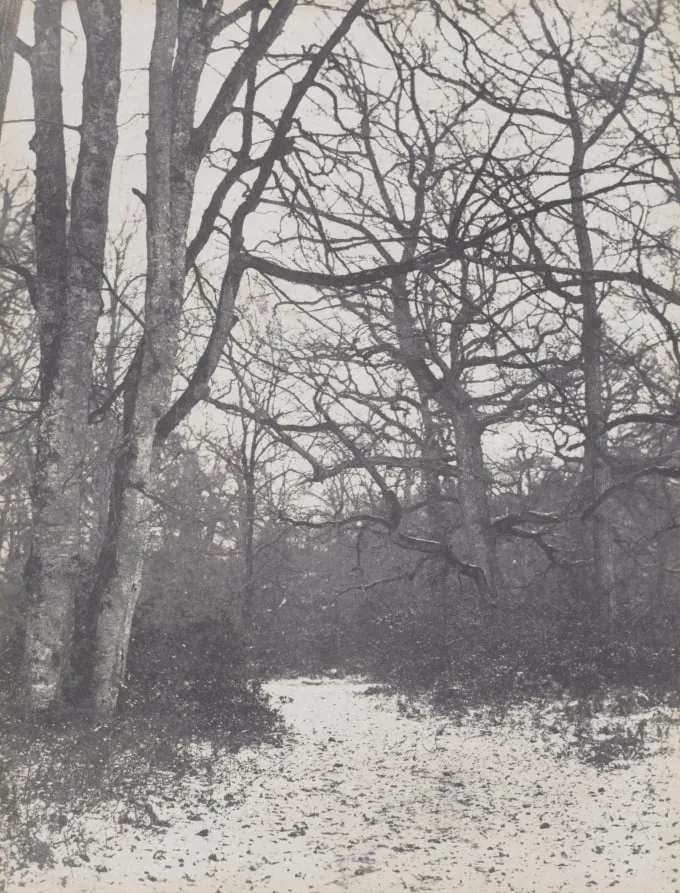 Road in the Forest, by Eugène Cuvelier, 1862