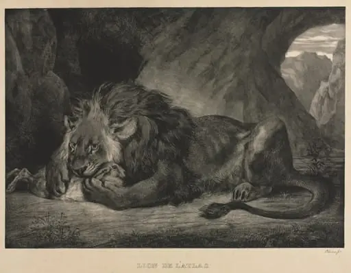 Lion of the Atlas Mountains, by Eugène Delacroix