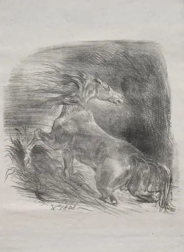 The Wild Horse, or Frightened Horse Leaving the Water, by Eugène Delacroix