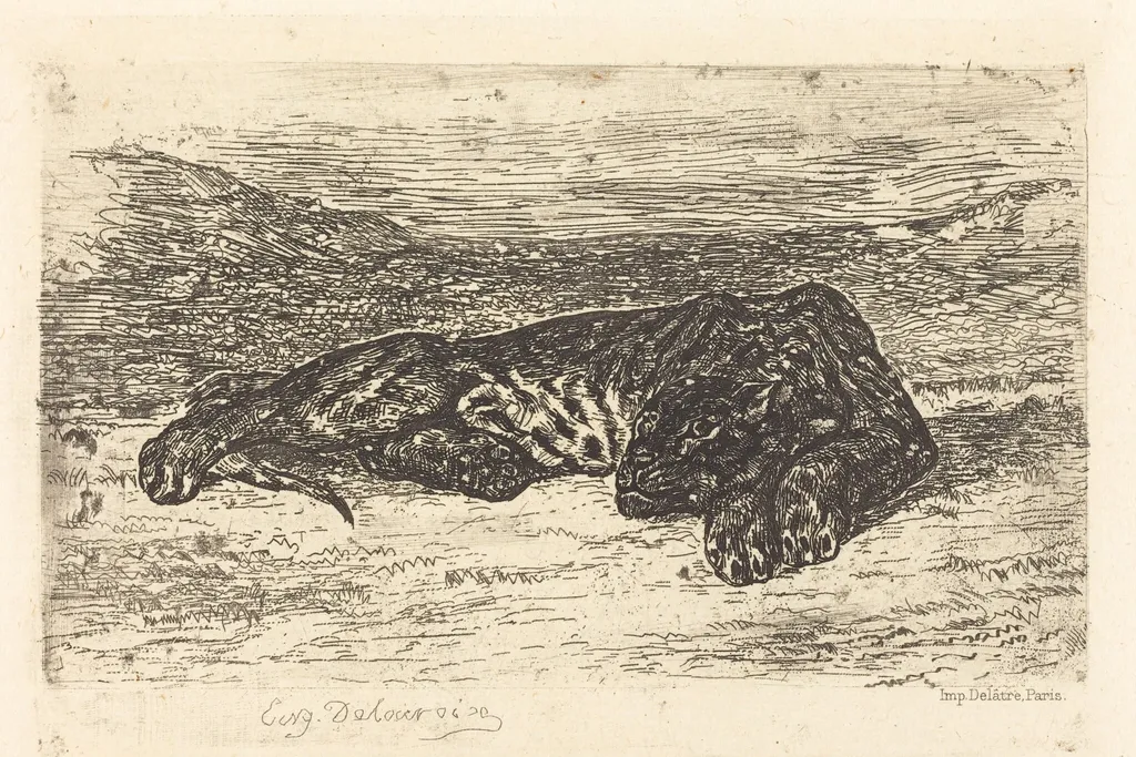 Tiger Sleeping in the Desert (Tigre couché dans le désert), by Eugène Delacroix, ink, 1846