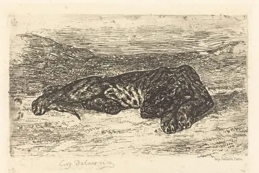 Tiger Sleeping in the Desert (Tigre couché dans le désert), by Eugène Delacroix