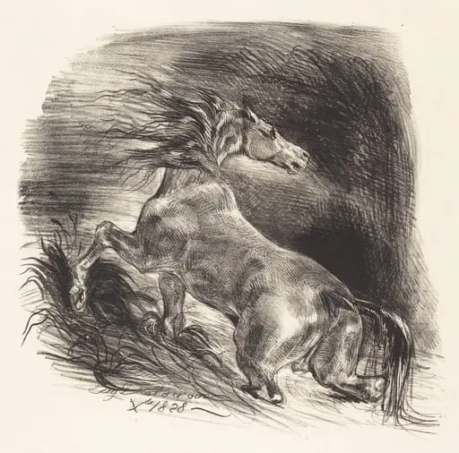 Wild Horse Coming out of the Water (Cheval sauvage), by Eugène Delacroix