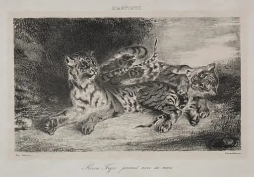 Young Tiger Playing with its Mother, by Eugène Delacroix