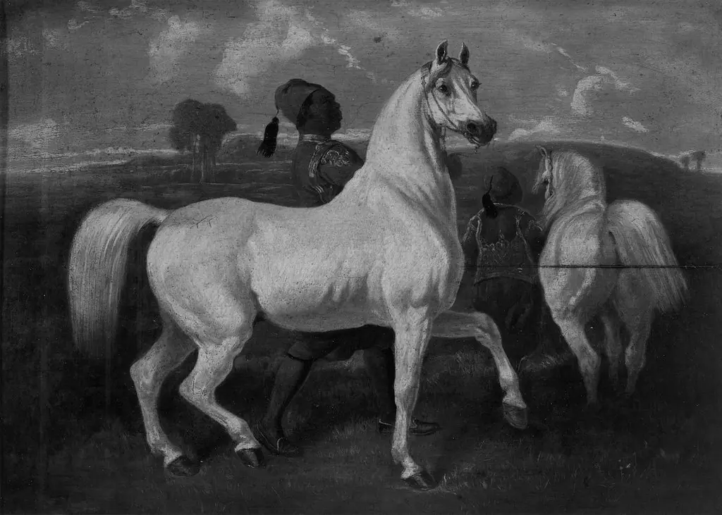 Arabian Horses, by Eugène Fromentin