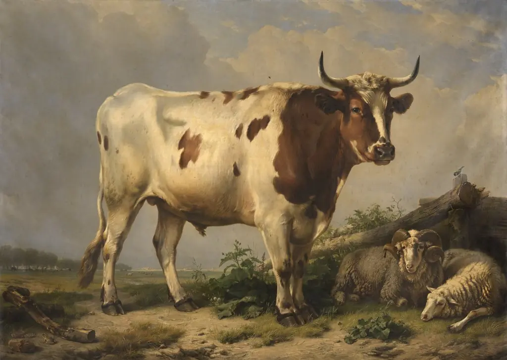 Bull, by Eugène Verboeckhoven