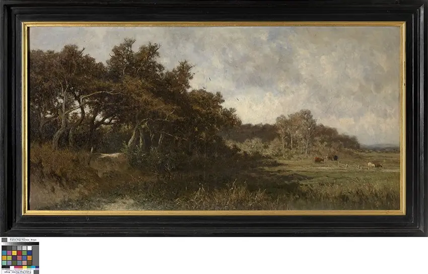 Landschap met koeien
