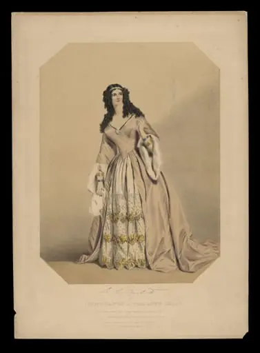 H Beard Print Collection, by F.A. Macnamara