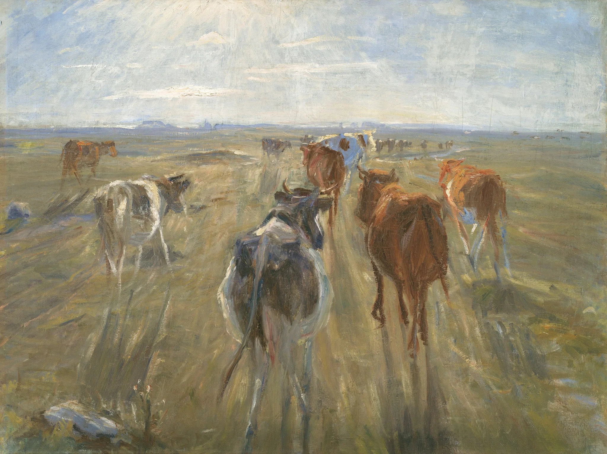 Long Shadows. Cattle on the Island of Saltholm, detail