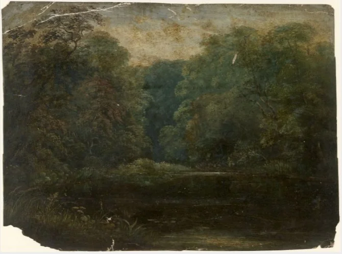 Woodland Pond, detail