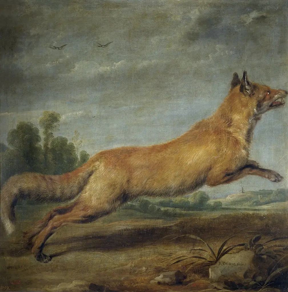 Running fox, by Paul de Vos, oil, 1636