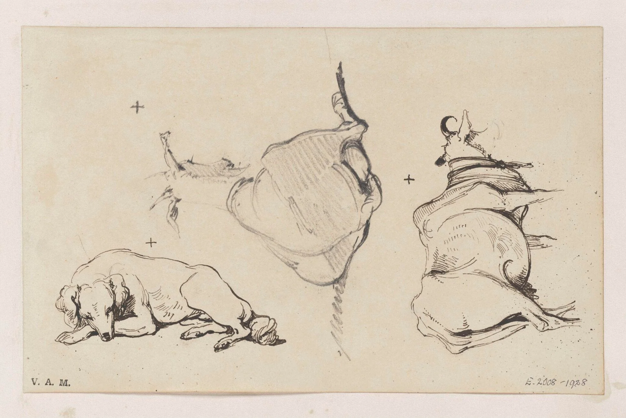 Animals, detail