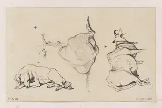 Animals, by George Chinnery, 19