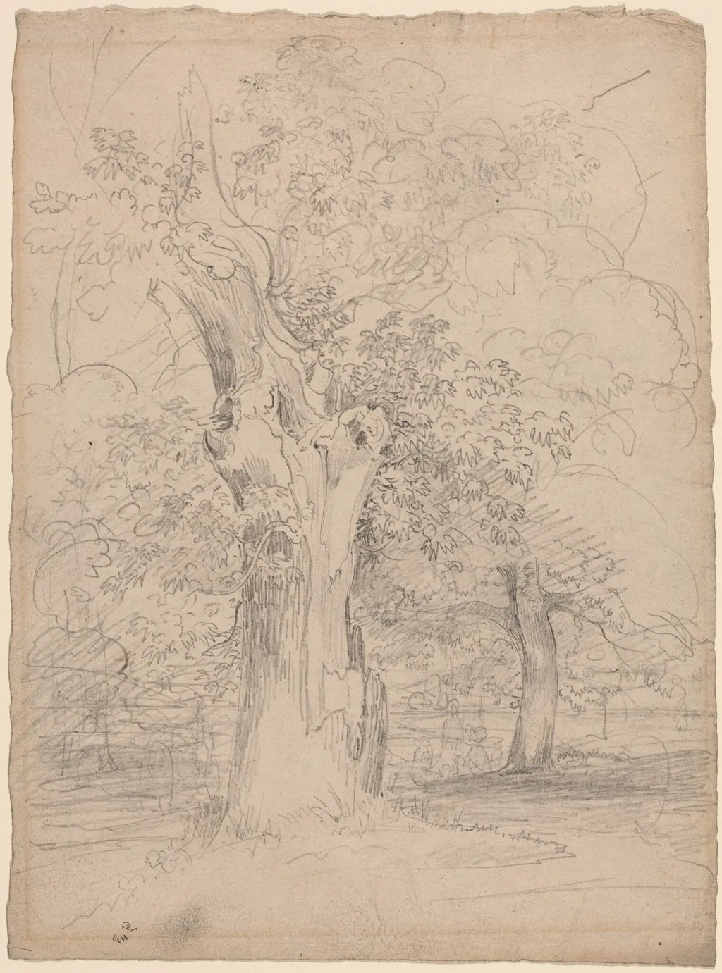An Ancient Tree with Figures in a Landscape, by Friedrich Salathé, graphite, 1835